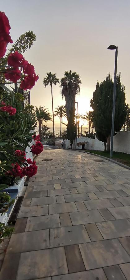 Apartamento Playa Las Americas Плая де лас Америкас Екстериор снимка