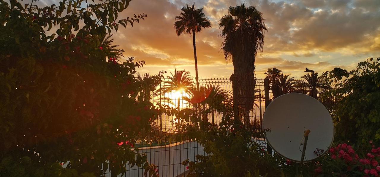 Apartamento Playa Las Americas Плая де лас Америкас Екстериор снимка
